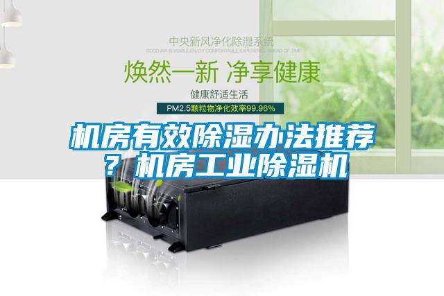 機房有效除濕辦法推薦？機房工業除濕機