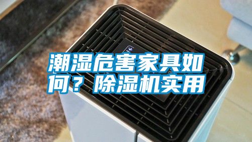 潮濕危害家具如何？除濕機實用