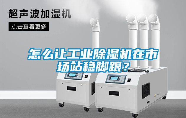 怎么讓工業除濕機在市場站穩腳跟？