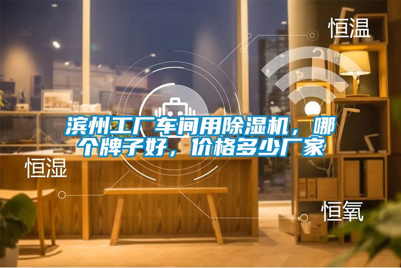 濱州工廠車間用除濕機，哪個牌子好，價格多少廠家