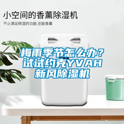 梅雨季節怎么辦？試試約克YVAH新風除濕機