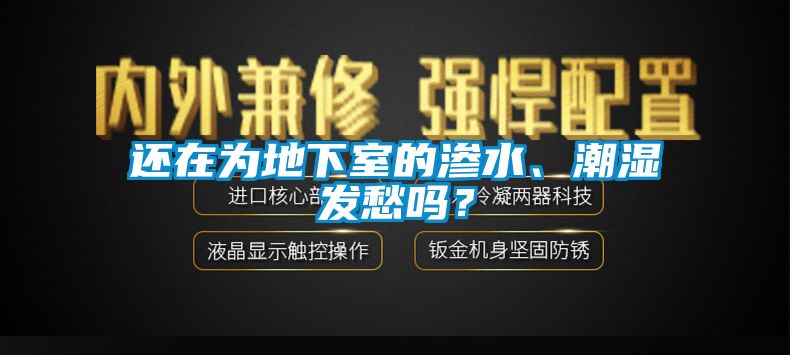 還在為地下室的滲水、潮濕發愁嗎？