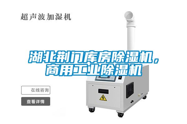 湖北荊門庫房除濕機，商用工業除濕機