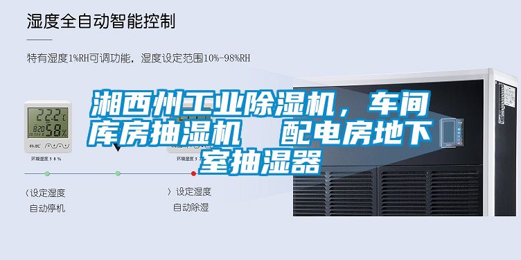 湘西州工業除濕機，車間庫房抽濕機  配電房地下室抽濕器