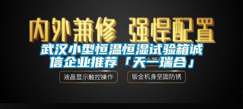 武漢小型恒溫恒濕試驗箱誠信企業推薦「天一瑞合」