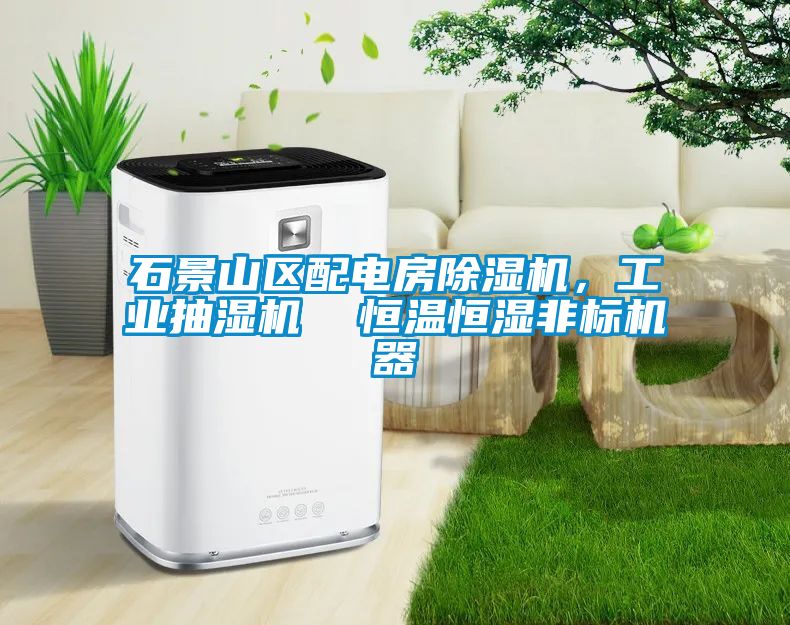 石景山區(qū)配電房除濕機(jī)，工業(yè)抽濕機(jī)  恒溫恒濕非標(biāo)機(jī)器