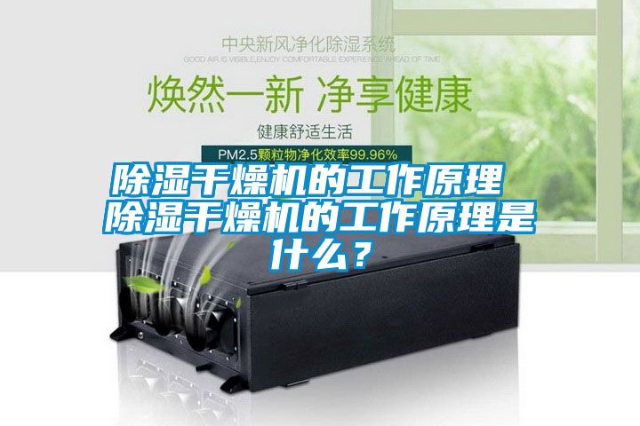 除濕干燥機的工作原理 除濕干燥機的工作原理是什么？