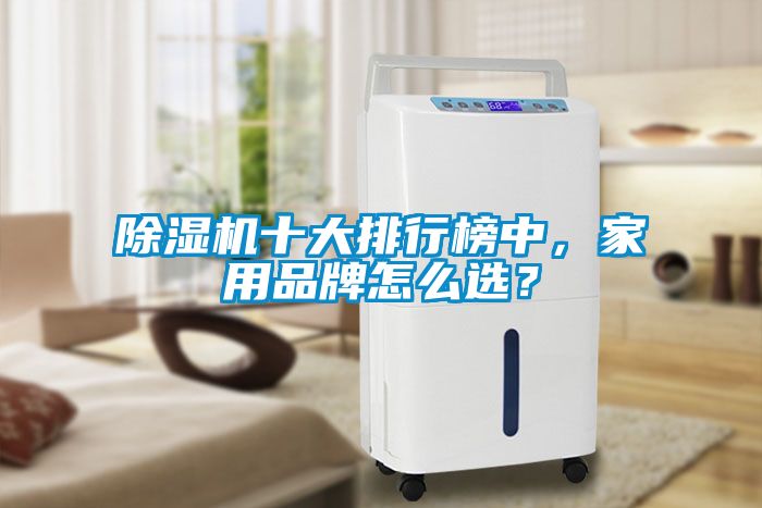 除濕機十大排行榜中，家用品牌怎么選？