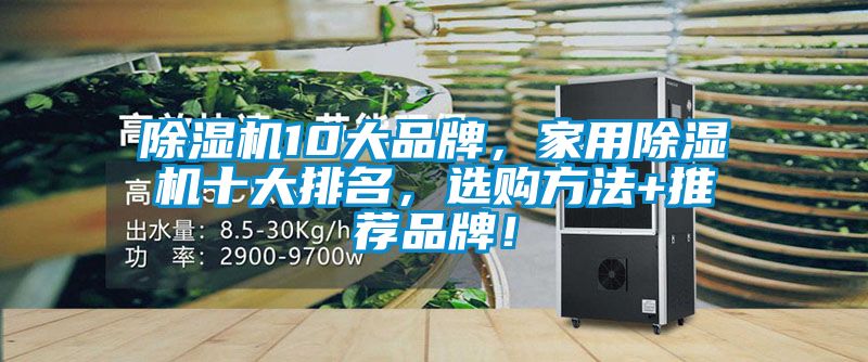 除濕機10大品牌，家用除濕機十大排名，選購方法+推薦品牌！