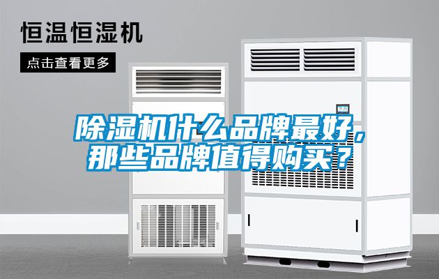 除濕機什么品牌最好，那些品牌值得購買？