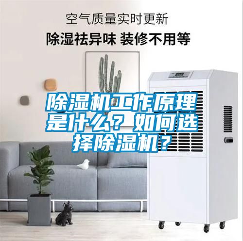 除濕機工作原理是什么？如何選擇除濕機？