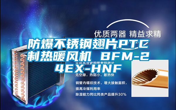 防爆不銹鋼翅片PTC制熱暖風機 BFM-24EX-HNF