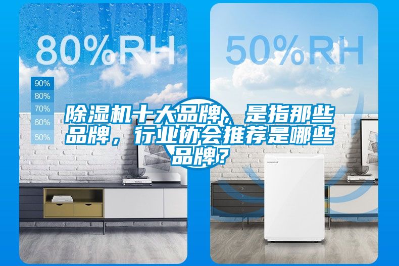 除濕機十大品牌，是指那些品牌，行業協會推薦是哪些品牌？