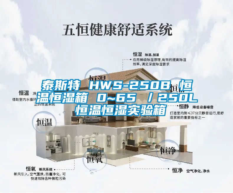 泰斯特 HWS-250B 恒溫恒濕箱 0~65℃／250L 恒溫恒濕實驗箱