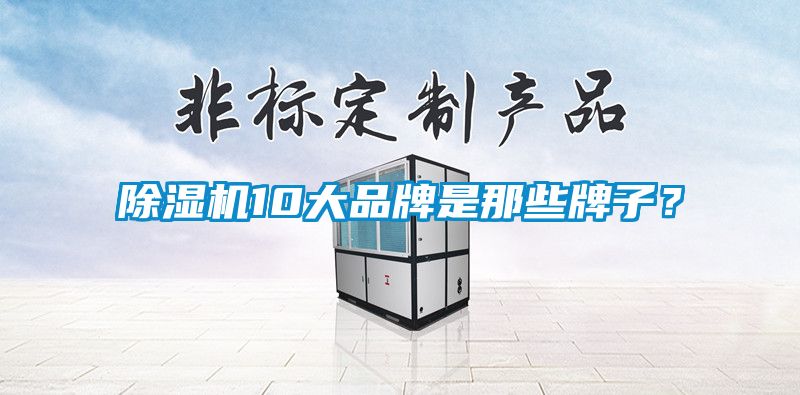 除濕機10大品牌是那些牌子？