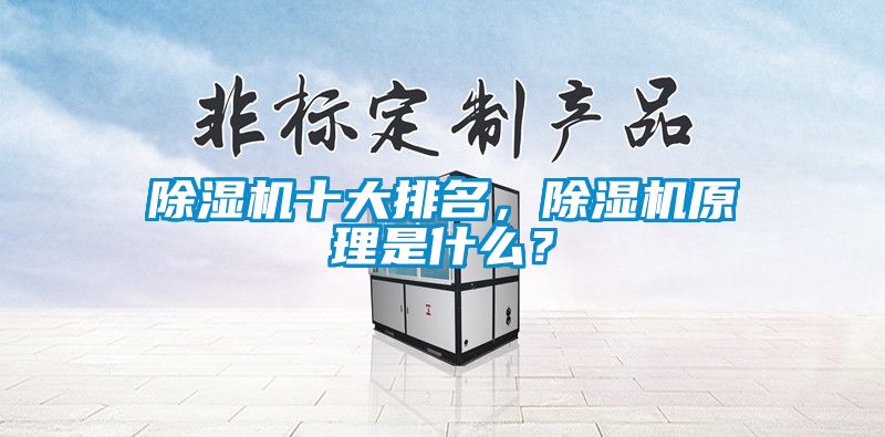 除濕機十大排名，除濕機原理是什么？