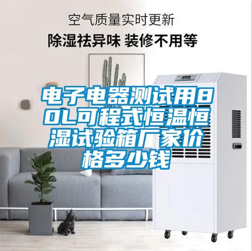 電子電器測試用80L可程式恒溫恒濕試驗箱廠家價格多少錢