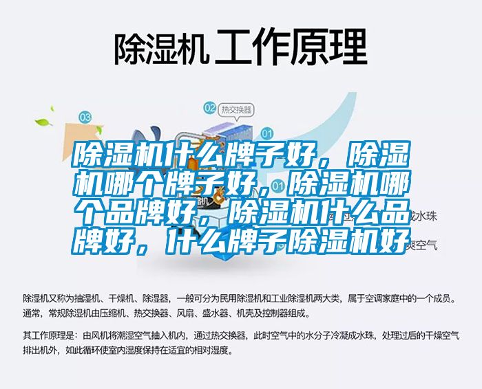 除濕機什么牌子好，除濕機哪個牌子好，除濕機哪個品牌好，除濕機什么品牌好，什么牌子除濕機好