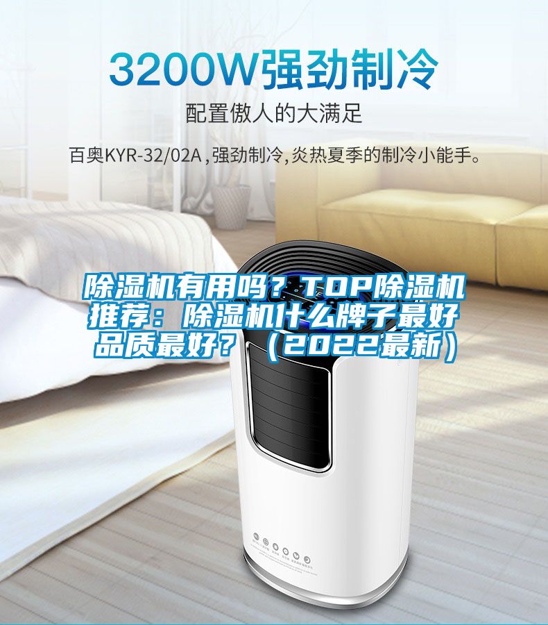 除濕機有用嗎？TOP除濕機推薦：除濕機什么牌子最好品質最好？（2022最新）