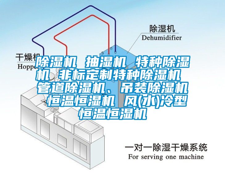 除濕機 抽濕機 特種除濕機 非標定制特種除濕機 管道除濕機、吊裝除濕機 恒溫恒濕機 風(水)冷型恒溫恒濕機