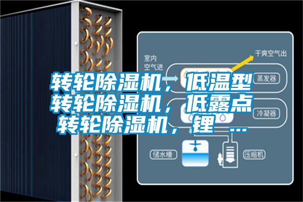 轉(zhuǎn)輪除濕機(jī)，低溫型轉(zhuǎn)輪除濕機(jī)，低露點(diǎn)轉(zhuǎn)輪除濕機(jī)，鋰 ...