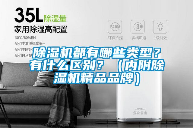 除濕機都有哪些類型？有什么區別？（內附除濕機精品品牌）