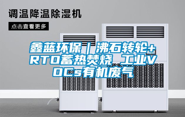 鑫藍環保｜沸石轉輪+RTO蓄熱焚燒 工業VOCs有機廢氣