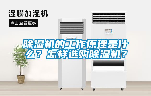 除濕機的工作原理是什么？怎樣選購除濕機？