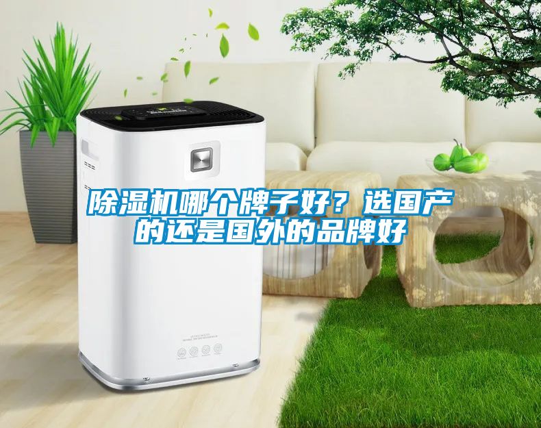 除濕機(jī)哪個牌子好？選國產(chǎn)的還是國外的品牌好