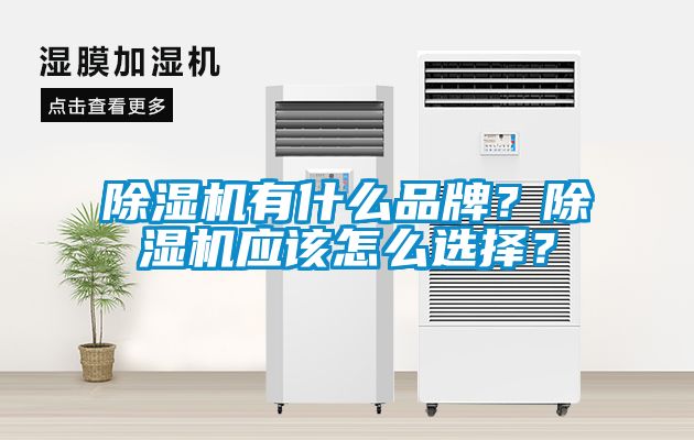 除濕機有什么品牌？除濕機應該怎么選擇？