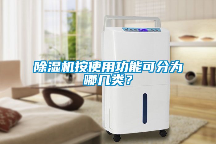 除濕機按使用功能可分為哪幾類？