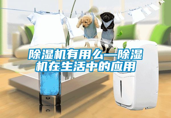 除濕機(jī)有用么—除濕機(jī)在生活中的應(yīng)用