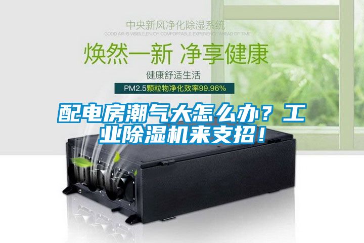 配電房潮氣大怎么辦？工業(yè)除濕機(jī)來支招！