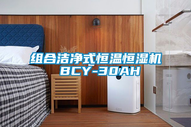 組合潔凈式恒溫恒濕機 BCY-30AH