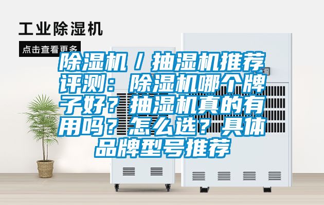 除濕機／抽濕機推薦評測：除濕機哪個牌子好？抽濕機真的有用嗎？怎么選？具體品牌型號推薦